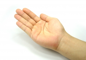 Palm, มือ, Fingers - High quality royalty free images resources for commercial and personal uses. No payment, No sign up.