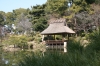 jardín japonés, Shukkeien, Hiroshima - Please click to download the original image file.