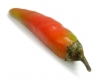 Hot pepper, Green pepper, Red pepper - Please click to download the original image file.
