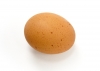 卵, 黄土, 食品、食事 - 高解像度・大きいサイズのイメージをダウンロードするためにはクリックして下さい。