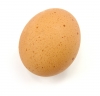 Яйцо, Охра, Производство продуктов питания - Please click to download the original image file.