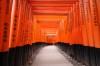 tempio giapponese, Kyoto, Fushimiinari Jinjya - Please click to download the original image file.