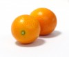 Kumquat, Orange, Mini - Please click to download the original image file.