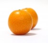 Kumquat, Orange, Mini - Please click to download the original image file.
