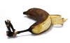 Trash, Banana, เน่าเสีย - Please click to download the original image file.
