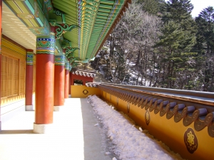 Korean temple, Woljeongsa, Woljeong temple - High quality royalty free images resources for commercial and personal uses. No payment, No sign up.