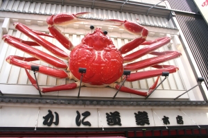 Osaka street, Crab, Kani doraku - High quality royalty free images resources for commercial and personal uses. No payment, No sign up.