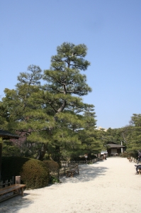 日本庭園, 空, 道路 - 高解像度3Dイメージ、グラフ、白背景、イラスト、ボタンなどすべて無料・会員登録必要なし・商業用利用可能