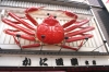 Osaka street, Crab, Kani doraku - Please click to download the original image file.
