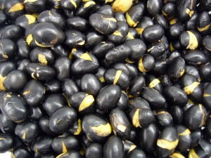 Fagiolo nero, Nero, Alimenti - High quality royalty free images resources for commercial and personal uses. No payment, No sign up.