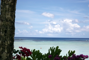 Beach, Sea, Guam - High quality royalty free images resources for commercial and personal uses. No payment, No sign up.