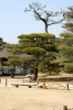 広島, 縮景園, 日本庭園 - 高解像度・大きいサイズのイメージをダウンロードするためにはクリックして下さい。