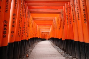 Japanese temple, Kyoto, Fushimiinari jinjya - High quality royalty free images resources for commercial and personal uses. No payment, No sign up.