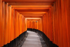 tempio giapponese, Kyoto, Fushimiinari Jinjya - High quality royalty free images resources for commercial and personal uses. No payment, No sign up.