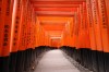 japanischer Tempel, Kyoto, Fushimiinari Jinjya - Please click to download the original image file.