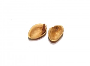 Pistachios shells, Ochre, Food - High quality royalty free images resources for commercial and personal uses. No payment, No sign up.