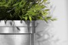 植木鉢, 植物, 緑 - 高解像度・大きいサイズのイメージをダウンロードするためにはクリックして下さい。