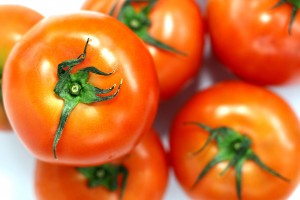 Tomatoes, красный, Производство продуктов питания - High quality royalty free images resources for commercial and personal uses. No payment, No sign up.