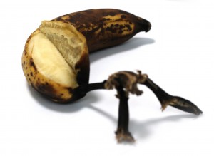 쓰레기, 바나나, 썩다 - 100% 무료 고해상도 이미지 무가입 다운로드