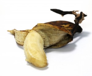 Trash, Banana, เน่าเสีย - High quality royalty free images resources for commercial and personal uses. No payment, No sign up.