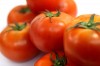 Tomatoes, 赤, 食品、食事 - 高解像度・大きいサイズのイメージをダウンロードするためにはクリックして下さい。